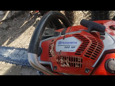 Husqvarna 562 XP cutting firewood (dried beech) 👒👒