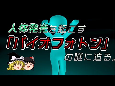 ランフォレオンについて詳しく解説