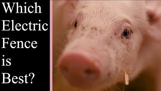 Containing Pigs | Electric Fencing | The Do