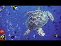 Underwater Sounds with Nature Oceanscapes & Underwater Animals | 8 Hours Deep Sea Sound (Part 1)