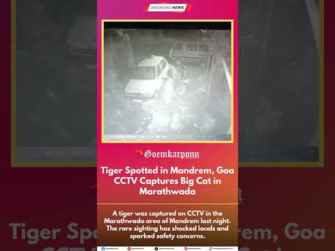 Tiger Spotted in Mandrem, Goa | CCTV Captures Big Cat in Marathwada