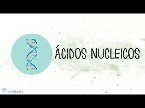 Ácidos nucleicos - Biologia e Geologia 11ºano