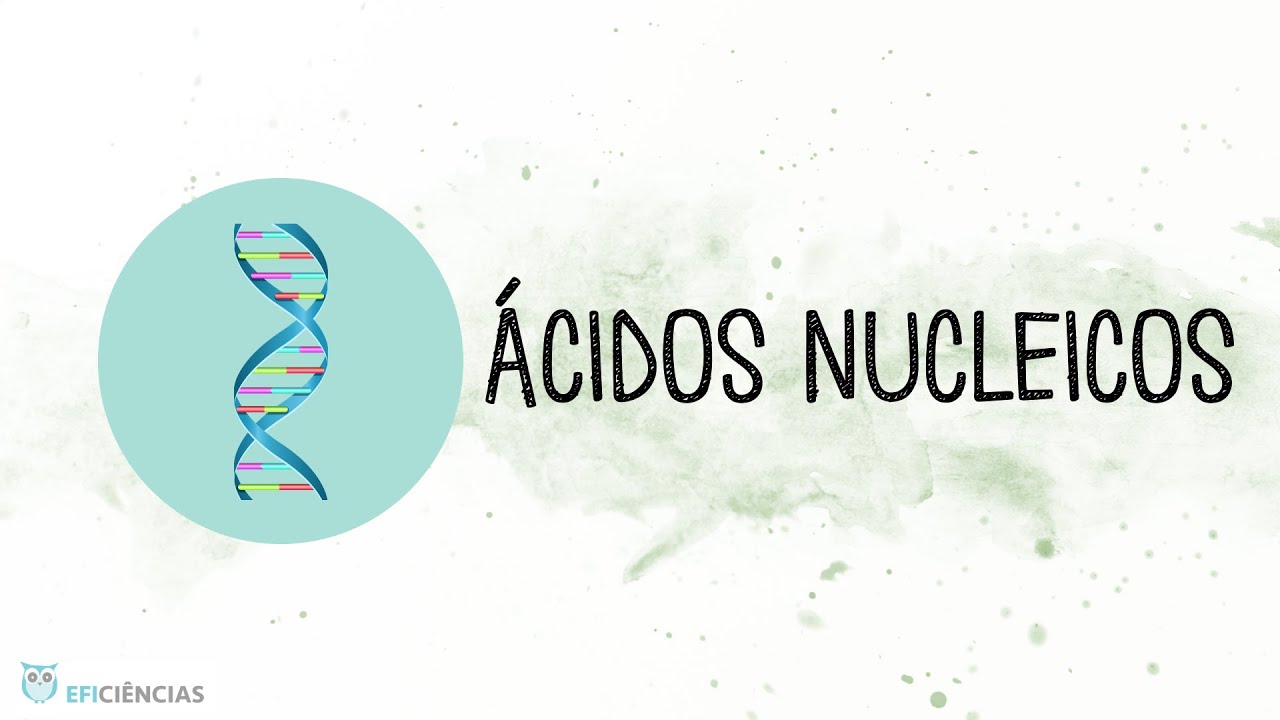 Ácidos nucleicos - Biologia e Geologia 11ºano