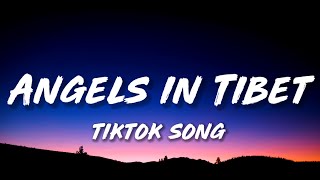 Amaarae - Angels in Tibet (Lyrics) Dior (in the club)Take it off (in the club) [Tiktok Song]