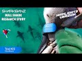 Sharkbanz Research Test Highlights Bull Shark Deterrent
