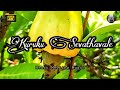 Kurukku Siruthavale Song Whatsapp Status Mudhalvan Movie Songs Melting Music JS Creations