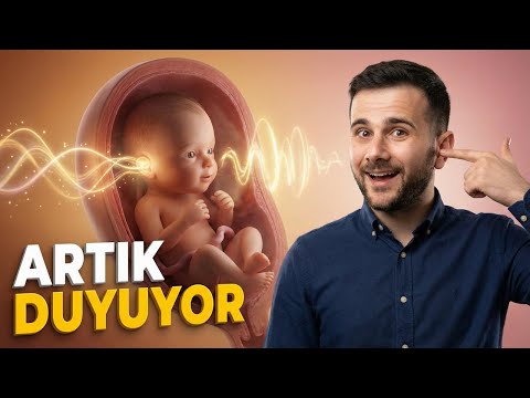 22 weekly pregnancy (2020)