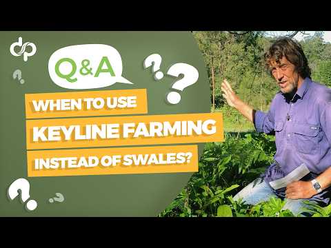 When Should You Use Keyline Farming Instead of Swales? (And Can They Work Together?)