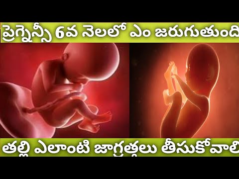 6th Month Of Pregnancy In Telugu || 6th Month Baby Movements in telugu || pregnancy 6 th month in