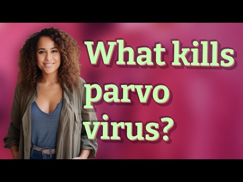 Does Odoban Kill Parvo