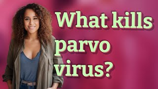 What kills parvo virus