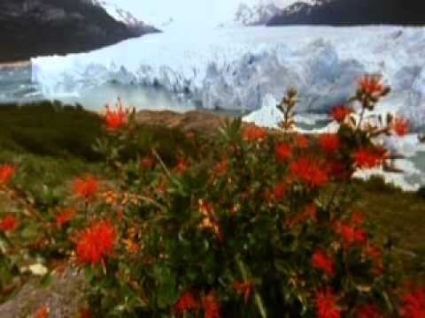 Gran artista - pista.flv