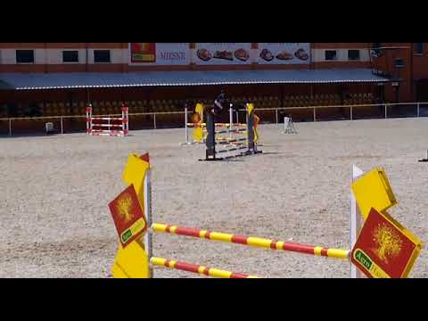 COLOMBINA (Action Breaker x Colandro) - 30.08.18 ZR-B Olsza-120 cm I SPRZEDANA / SOLD