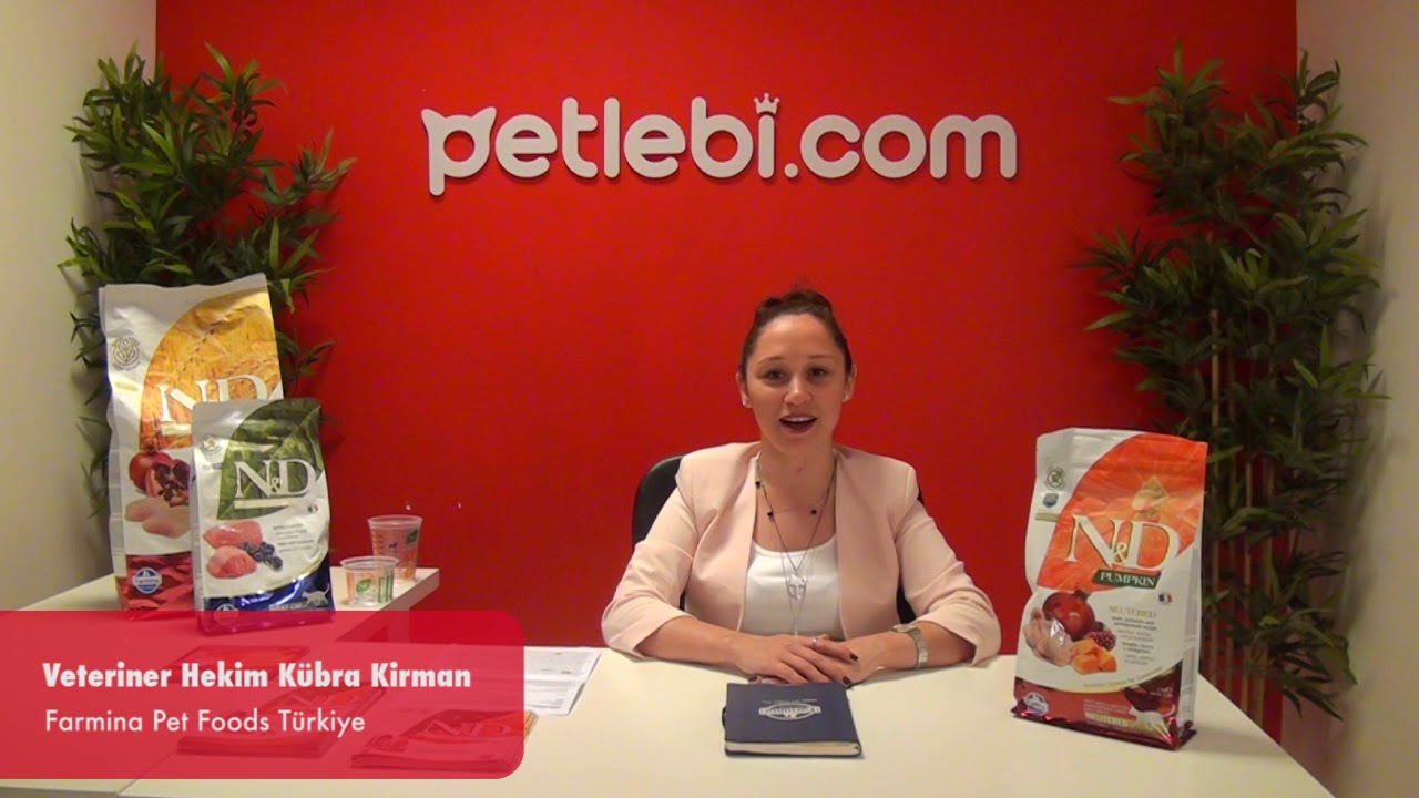 N&D Prime Kuzu Etli ve Yaban Mersinli Tahılsız Yetişkin Kedi Maması 10kg tanıtım video görseli