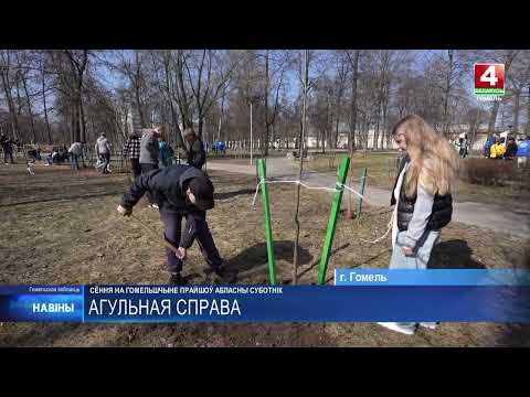 Областной субботник прошел на Гомельщине