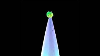 Peter Gabriel - The Rhythm of the Heat -2011 version (FAMU)