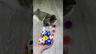 Funny Cat Barsik Beads 📿🔴 Reverse video