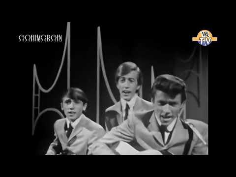 Bee Gees - Wine and Women (1965)