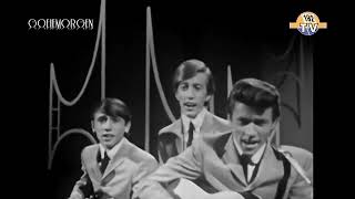Bee Gees - Wine and Women (1965)