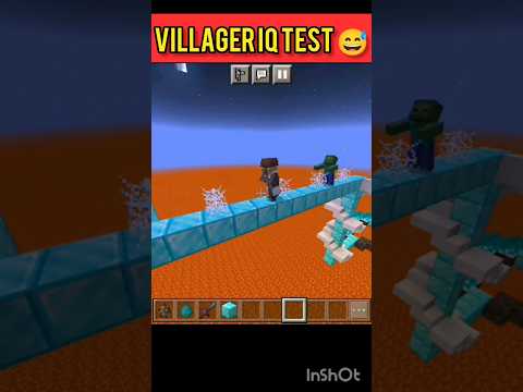 Insane Minecraft Villager IQ Test! 😂