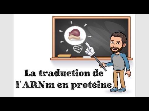 TRANSLATION OF MESSENGER RNA INTO PROTEIN - #3 1st Year Specialized Life and Earth Sciences