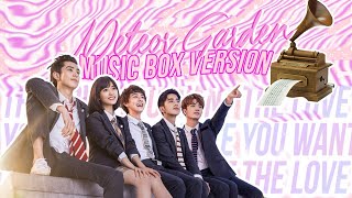 Meteor Garden OST "The Love You Want" - Penny Tai (Music Box Version)