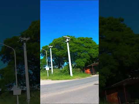 🚴 Travel Adventure: Resistencia to Fontana City 🌆 | Exploring Alvear Avenue