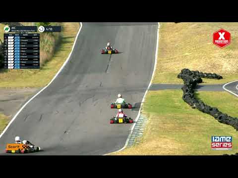 IAME Series Sweden 2019 - Jönköping 29.-30.6.2019 - DD2 - Final