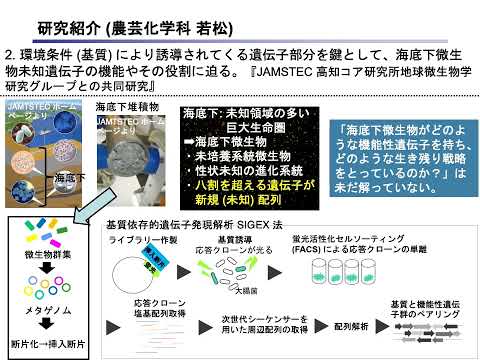 研究室「生体分子機能学」【農芸化学コース】農林海洋科学部
