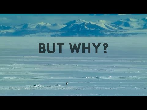 L’Amour Toujours X Mountain Penguin Motivation (Mtheuz Orchestral Version)  / Emotional Version