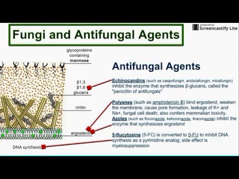 Takot sa kuko halamang-singaw Suppuration ng kuko kung saan ang lunas