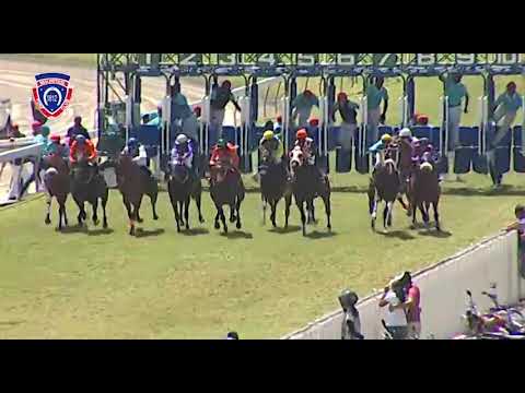 RM33 R2 - Perplexing