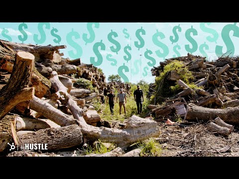 The Million-Dollar Business of Wood Waste in the US