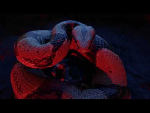 Mo3 - Thought I Knew (Visualizer)