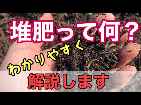 リコペルシコンについて詳しく解説