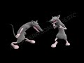 OneyPlays The Dancing Gabagool Rats