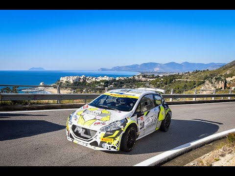 Frattalemi - Peugeot 208 R5 - Interno