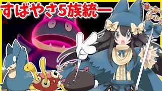 ゴンベ ポケットモンスター シャンデラ カムカメ フィオネ ゴンベ ポケットモンスター シャンデラ カムカメ フィオネ