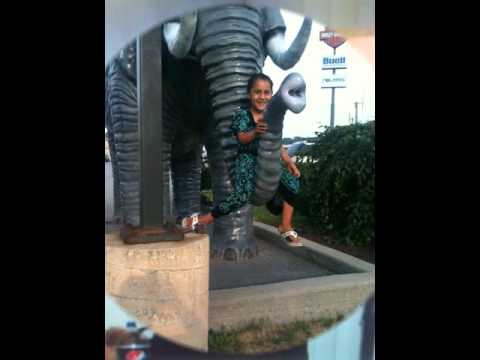 rebeca fata lui orient