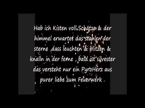 Silvester Song 2011 + Songtext