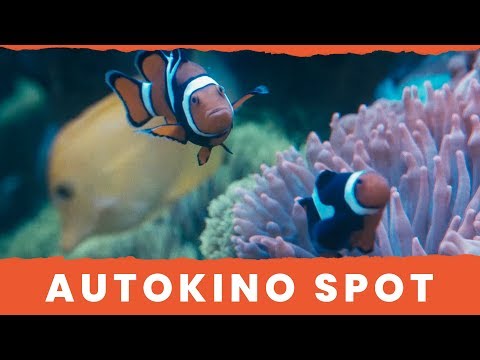 Die Dr. Müller Hufschmidt Stbg mbH präsentiert sich in diesem Spot als außergewöhnlicher Arbeitgeber