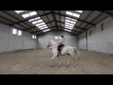 Harpao -  Exercice de préparation au passage
