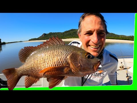 2 Day Solo Boat camping - Island paradise - Catch and Cook - Day 1 - EP.569