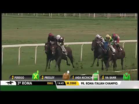 2018.11.04 Premio Roma (ITA) - Va Bank