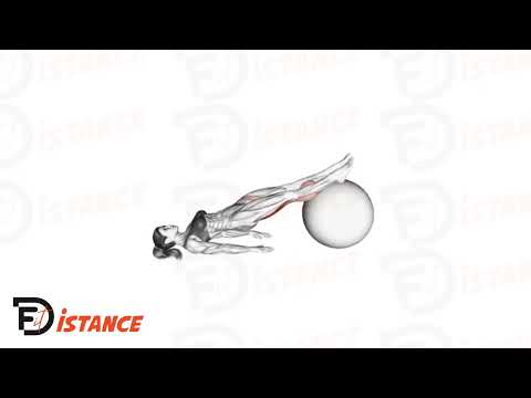 Exercice leg curl avec ballon (swissball)