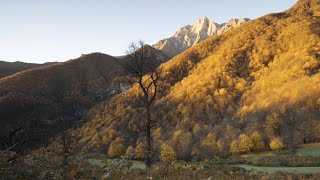 Ինդեքս 24.02.2022