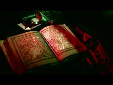 Tomato Jaws - When I See U