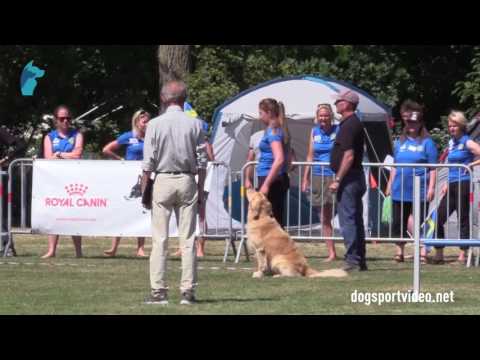 Selection - Jennifer Nilsson + Seasymphony Hot Shot / Golden Retriever