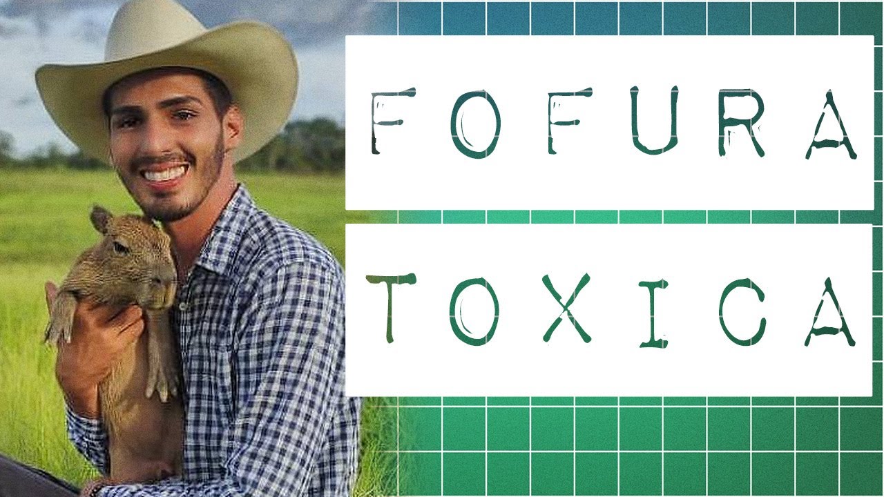 VÍDEOS FOFINHOS SÃO OS MAIORES CULPADOS PELO TRÁFICO DE ANIMAIS?