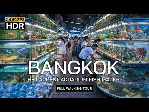 🇹🇭 4K HDR | Asia's LARGEST Aquarium Fish Market - Bangkok Fish Market | Full Walking Tour